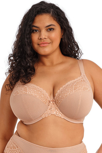 SOUTEIN-GORGE ARMATURE-PLUNGE TIERNIE