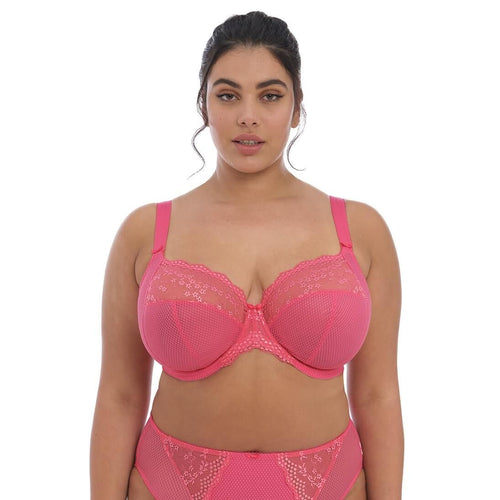 SOUTIEN-GORGE 3 PARTIES-CHARLEY PLUNGE