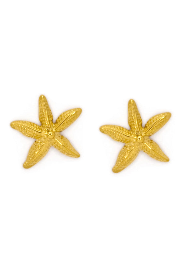 BOUCLE D'OREILLE-SEA STAR STUD
