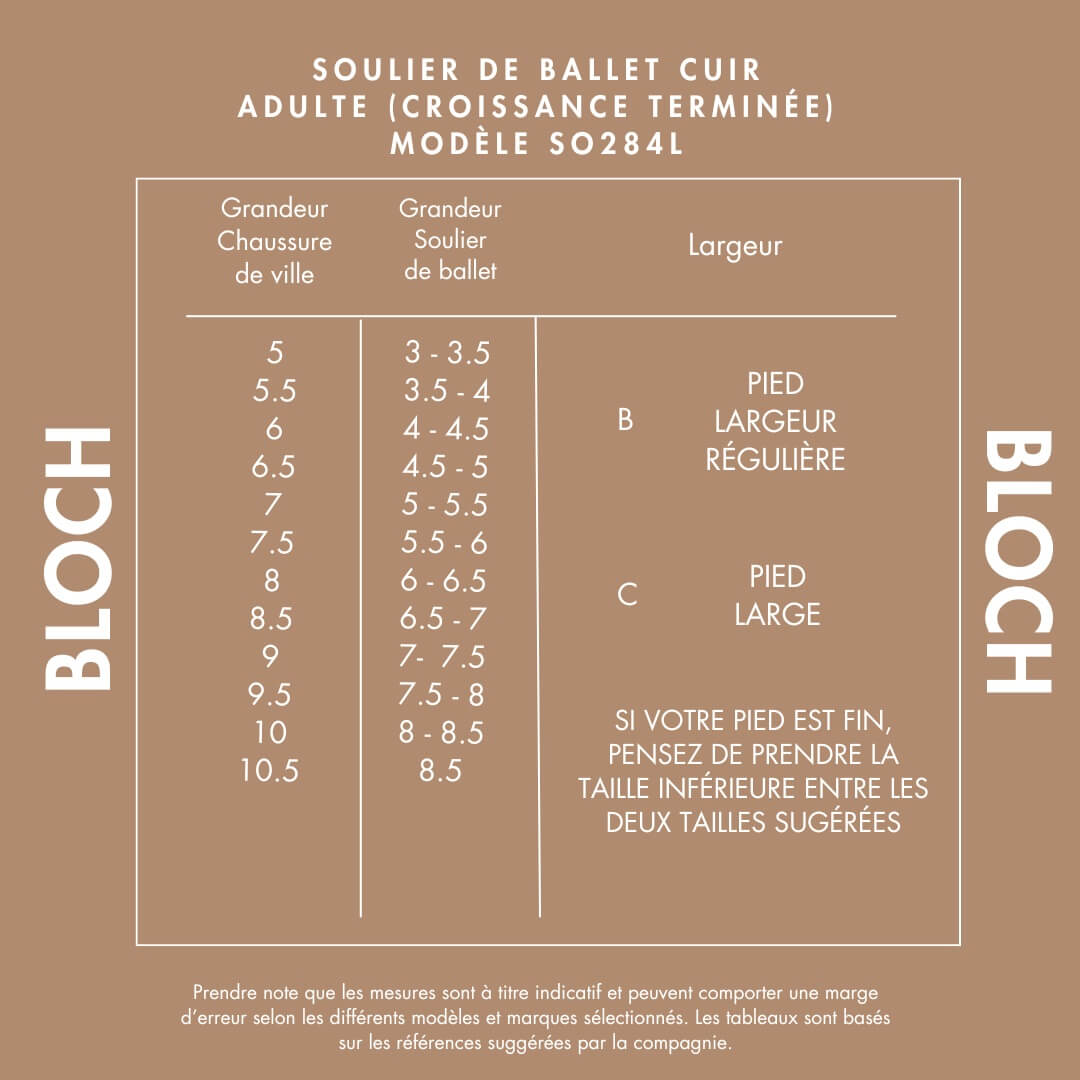 SOULIER DE BALLET TISSU CANEVAS STRETCH